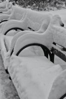 _MG_8290-1.jpg