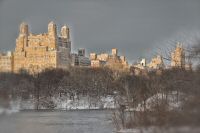 _MG_8330-1.jpg