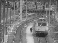 IMG_1830bis.JPG