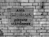 Img_2248bis.jpg