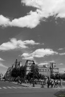 _MG_2023-1.jpg
