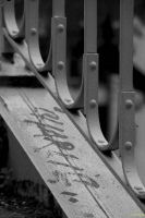 _MG_3869-1.jpg