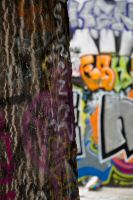 _MG_3932-1.jpg