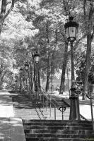 _MG_5576-2.jpg