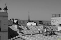 _MG_5608-1.jpg
