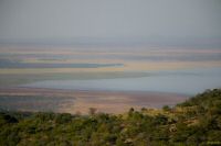 _MG_1450-2.jpg