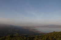 _MG_1480-1.jpg
