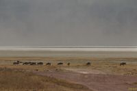 _MG_1730-1.jpg