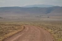 _MG_2121-1.jpg