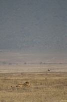 _MG_2216-1.jpg