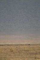 _MG_2220-1.jpg