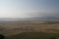 _MG_2294-1.jpg