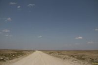 _MG_2403-1.jpg