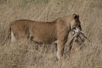 _MG_2670-1.jpg
