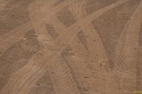 _MG_3442-1.jpg