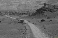 _MG_3801-2.jpg