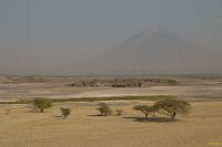 _MG_3825-1.jpg