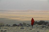 _MG_3880-1.jpg