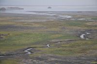 _MG_4160-1.jpg