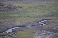 _MG_4165-1.jpg