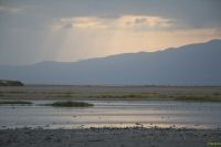 _MG_4207-1.jpg