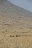 _MG_4304-1.jpg