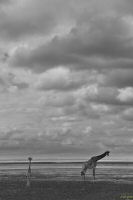 _MG_4512-3.jpg