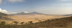 pano81.jpg